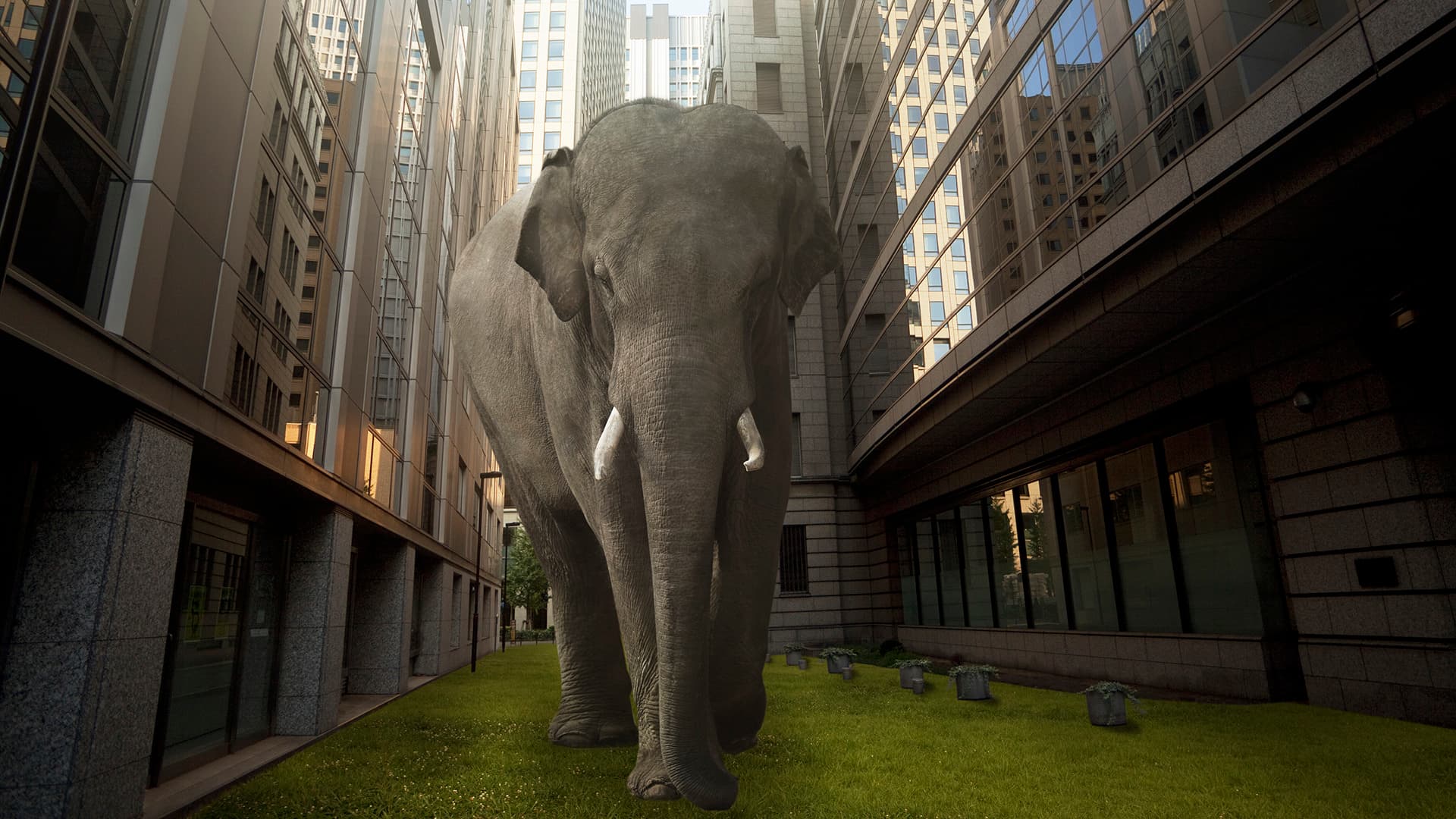 Perseverance: The Key to Achieving Your Goals