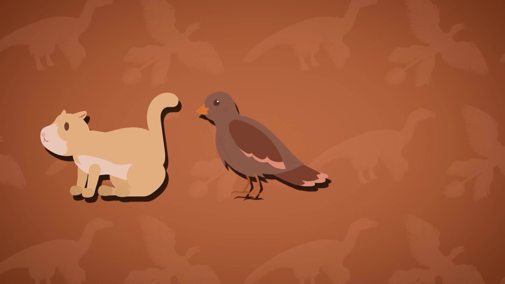 I WONDER - What Did The Microraptor Eat?