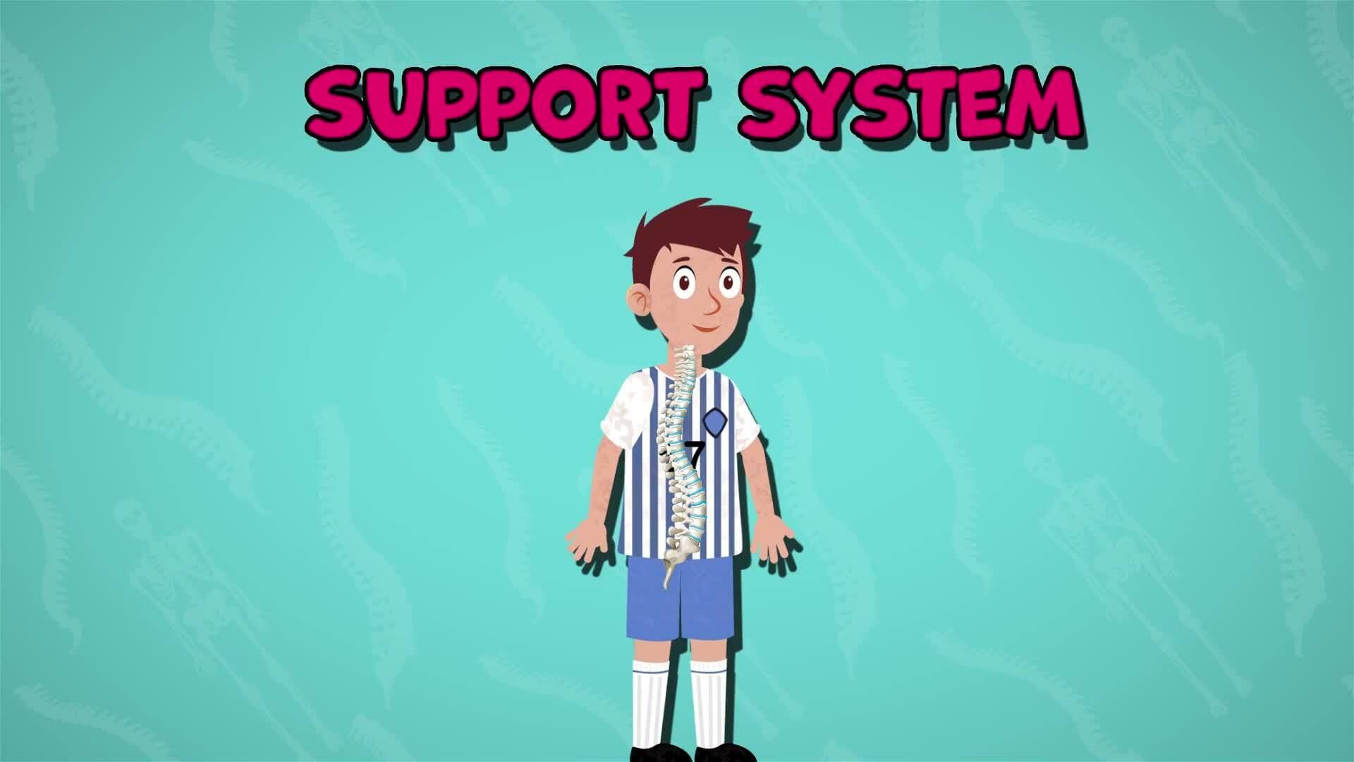 I WONDER - How Does The Spine Help Us Move?