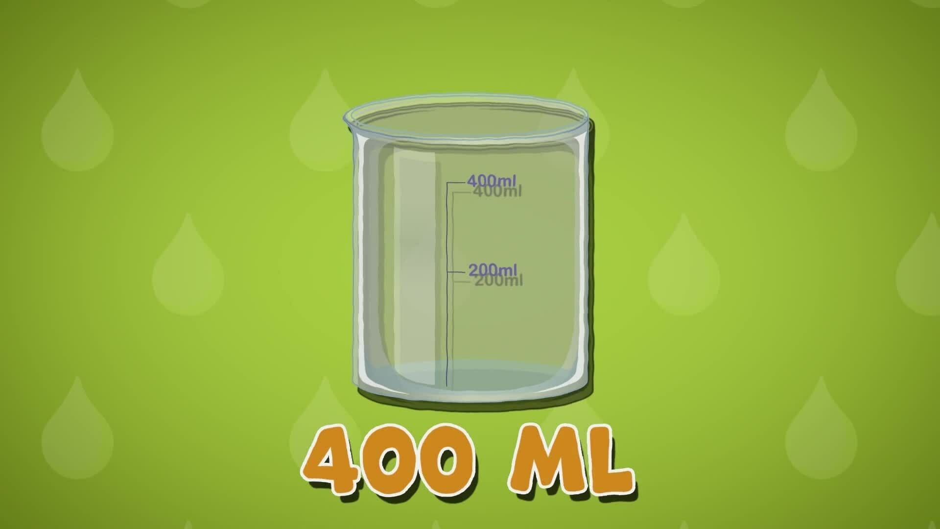 High Five Facts - Bladder