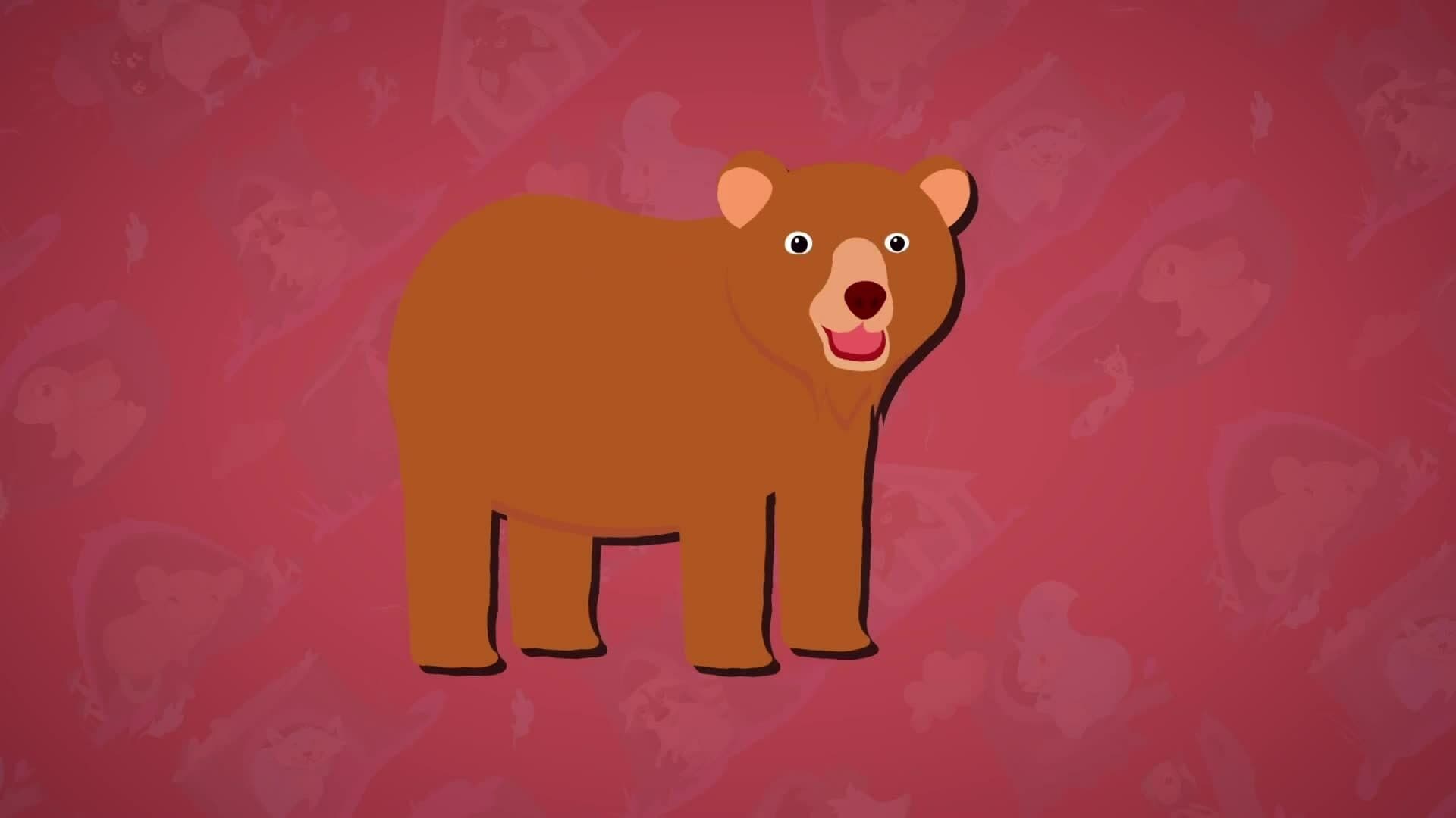 I WONDER - What Animals Hibernate?