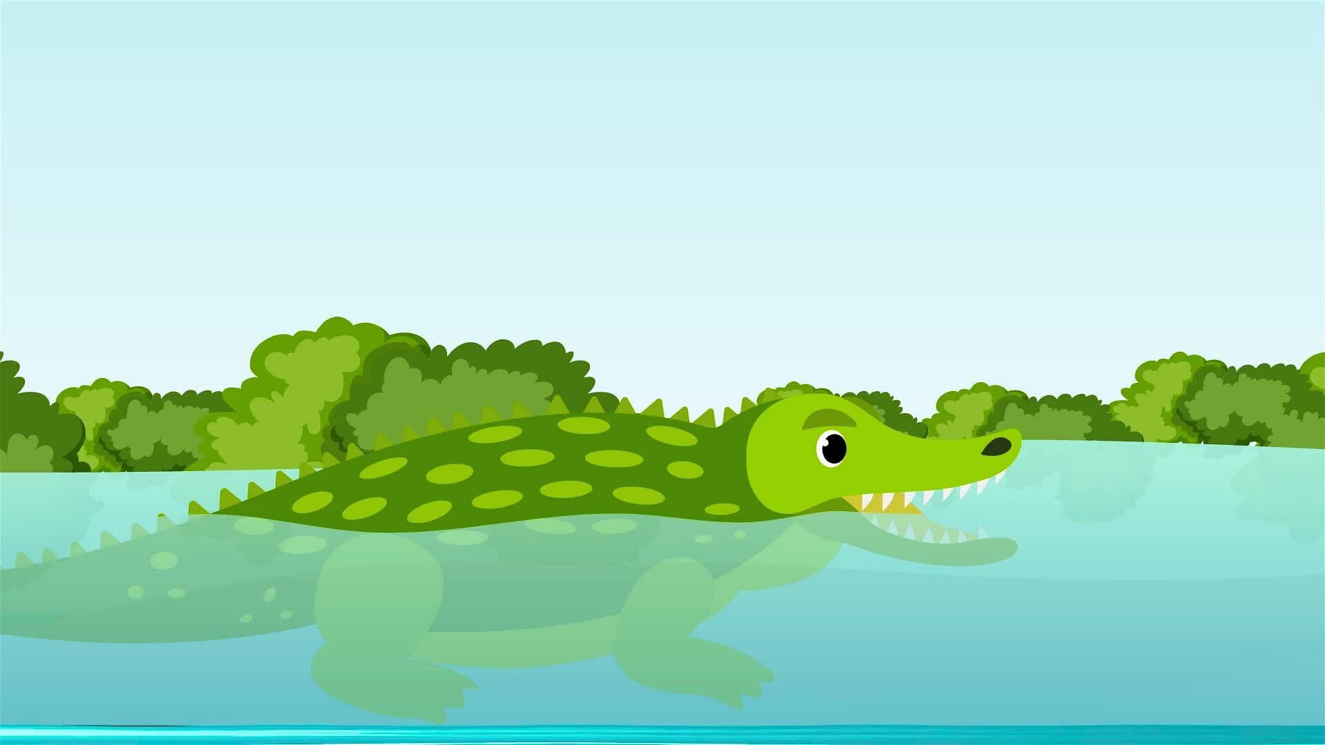 I WONDER - What Animals Live In Marshes?