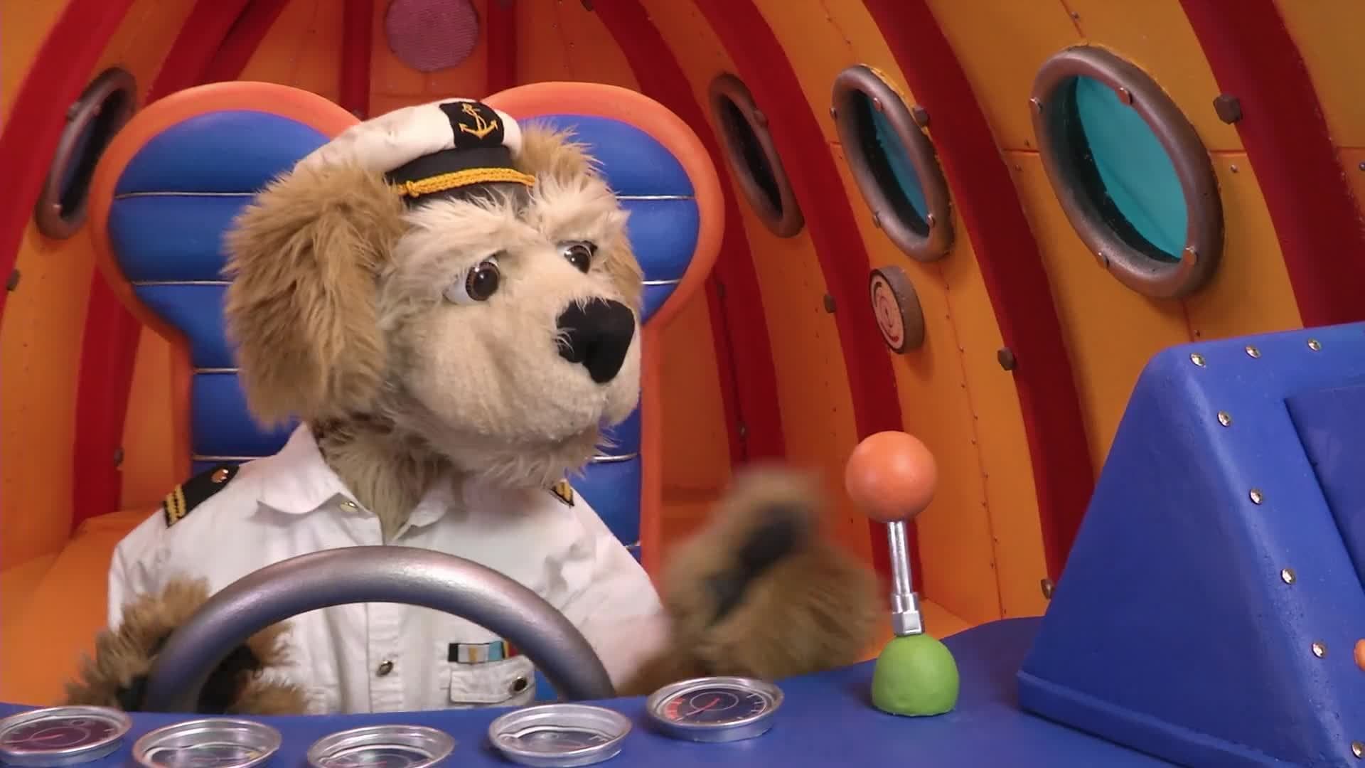 Animal Alphabet: W is for Whale Shark