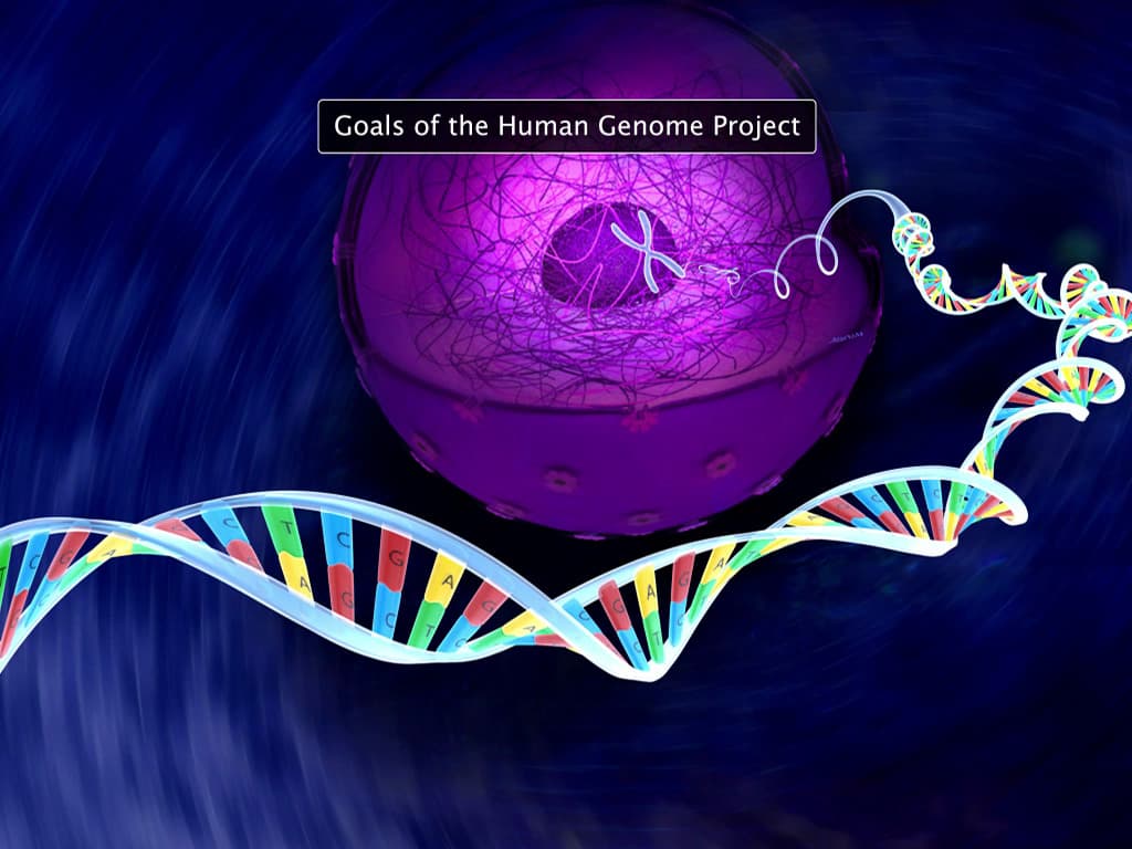 Human Genome Project