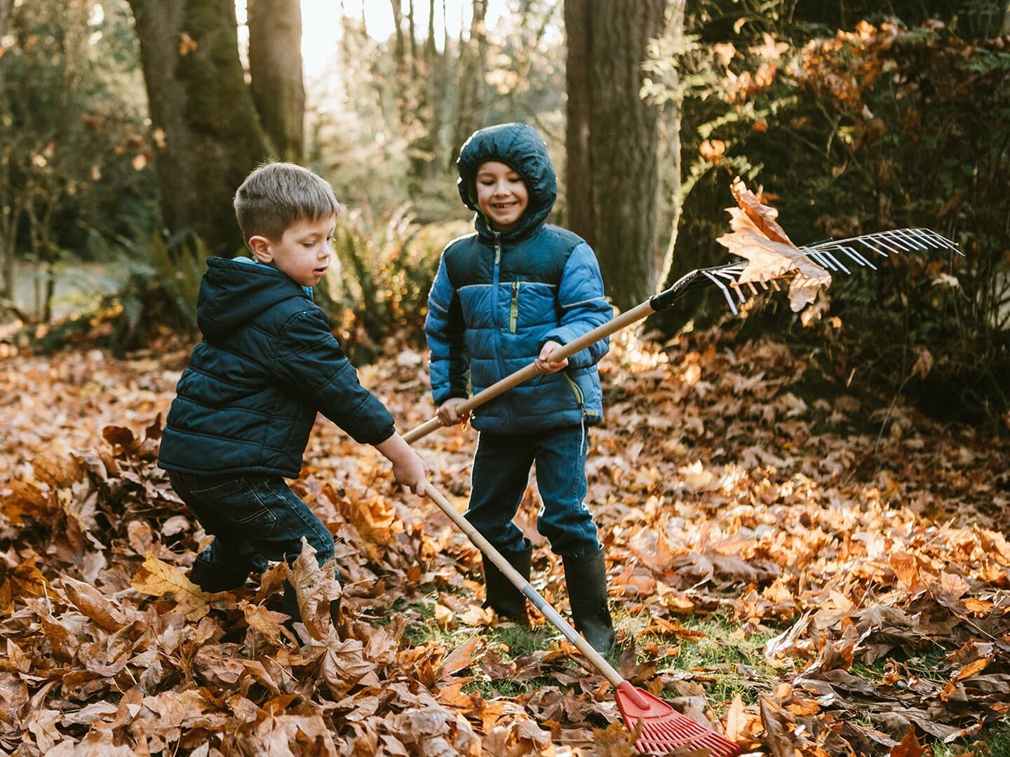 Becoming an Independent Kid: Exploring Responsibility and Wise Decision Making