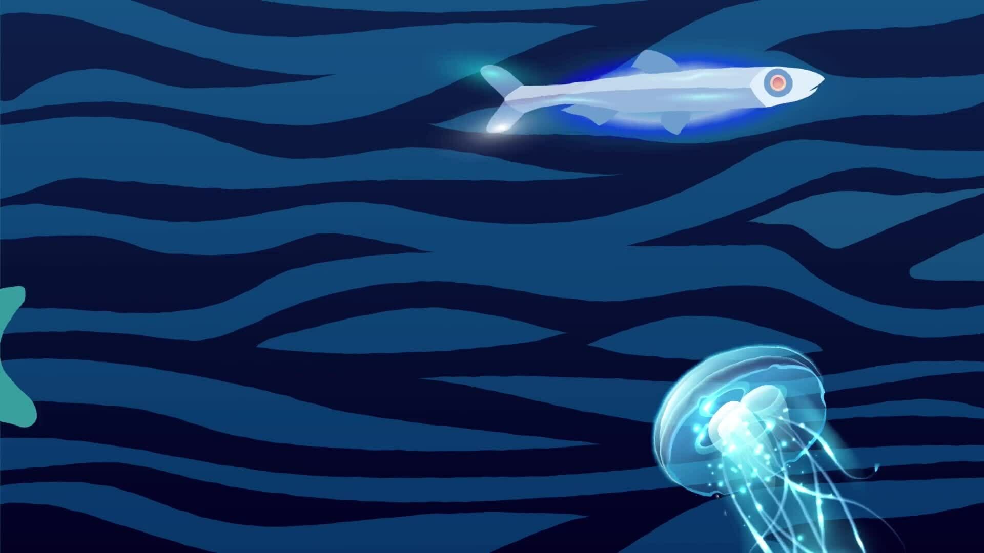 High Five Facts - Bioluminesent Animals