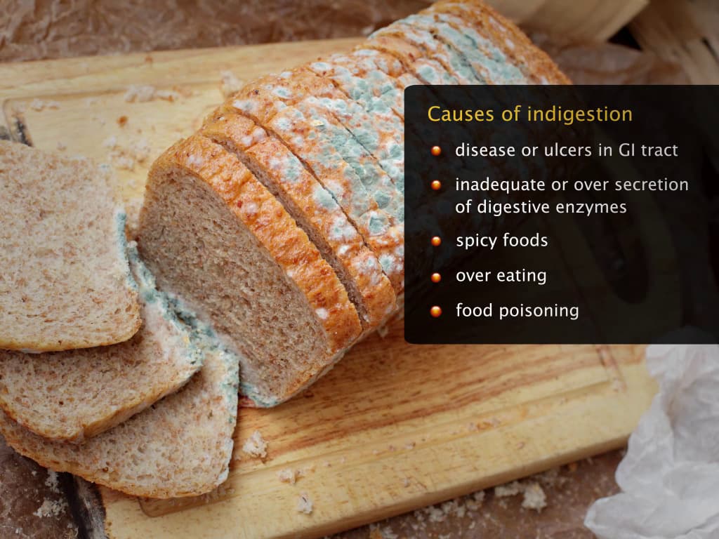 Disorders of the Digestive System