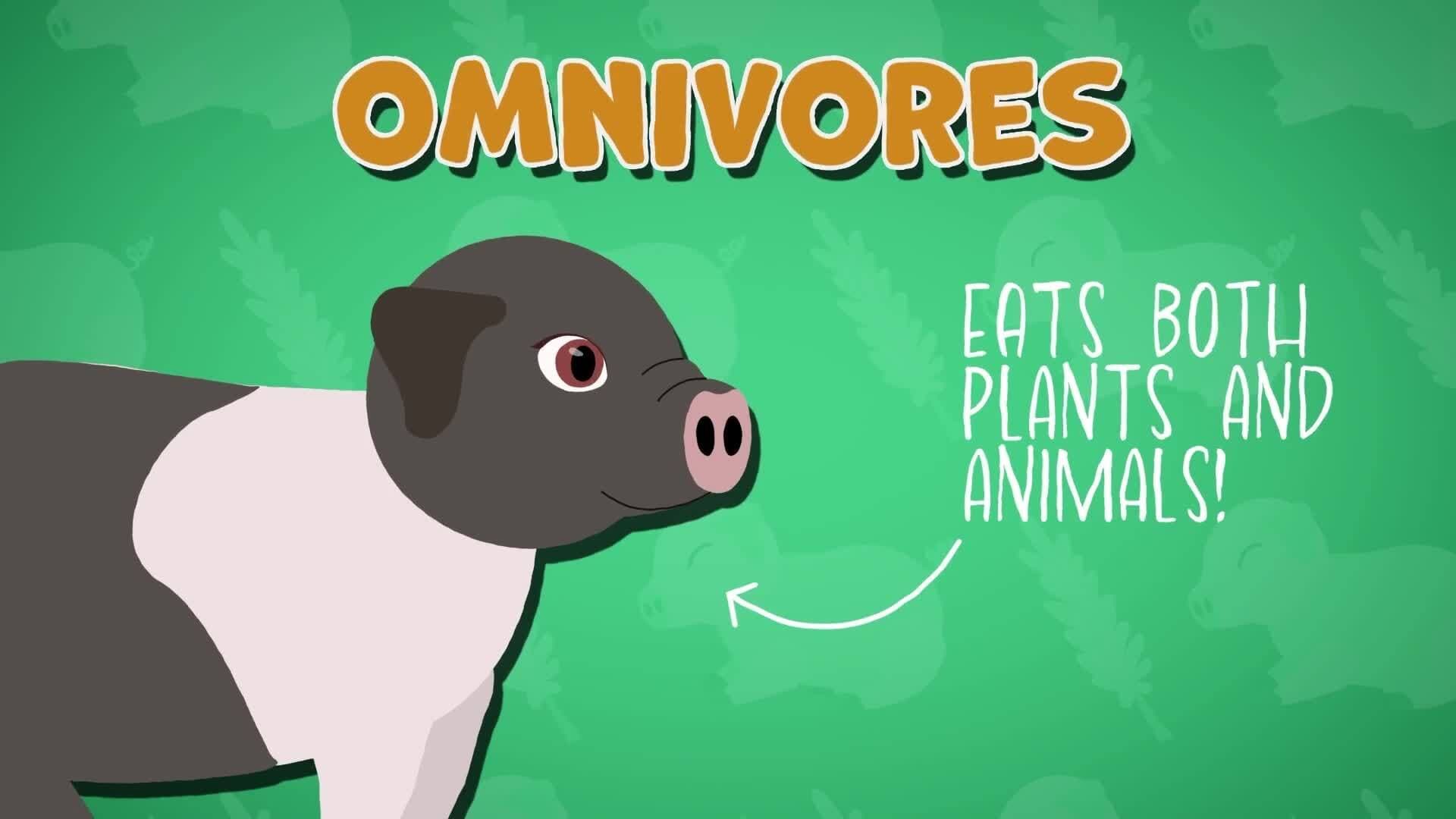 I WONDER - What Do Pigs Eat?