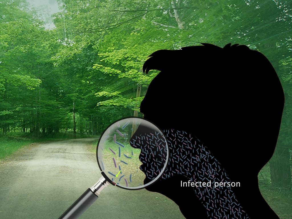 Prevention of Infection and Spoilage of Food