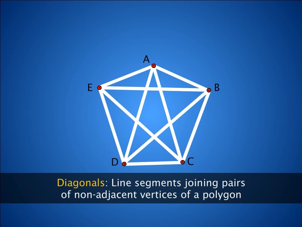 Curves and Their Types