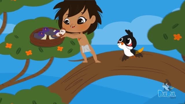 Mowgli And BulBul- Different Types Of Birds Cute Animation Story
