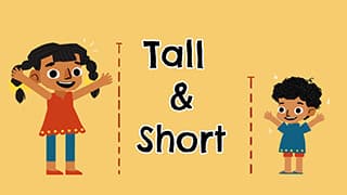 Comparative concept - Tall and Short