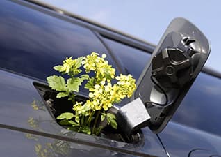 Non-renewable vs renewable