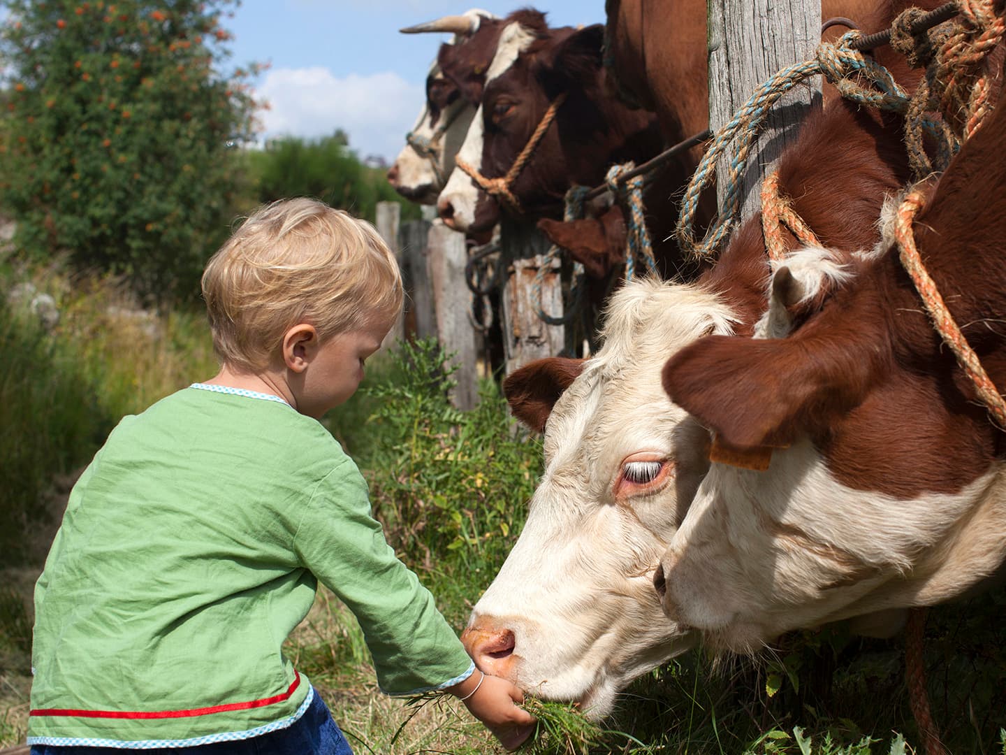 Learning to Care: Taking Care of Our Environment and Ourselves