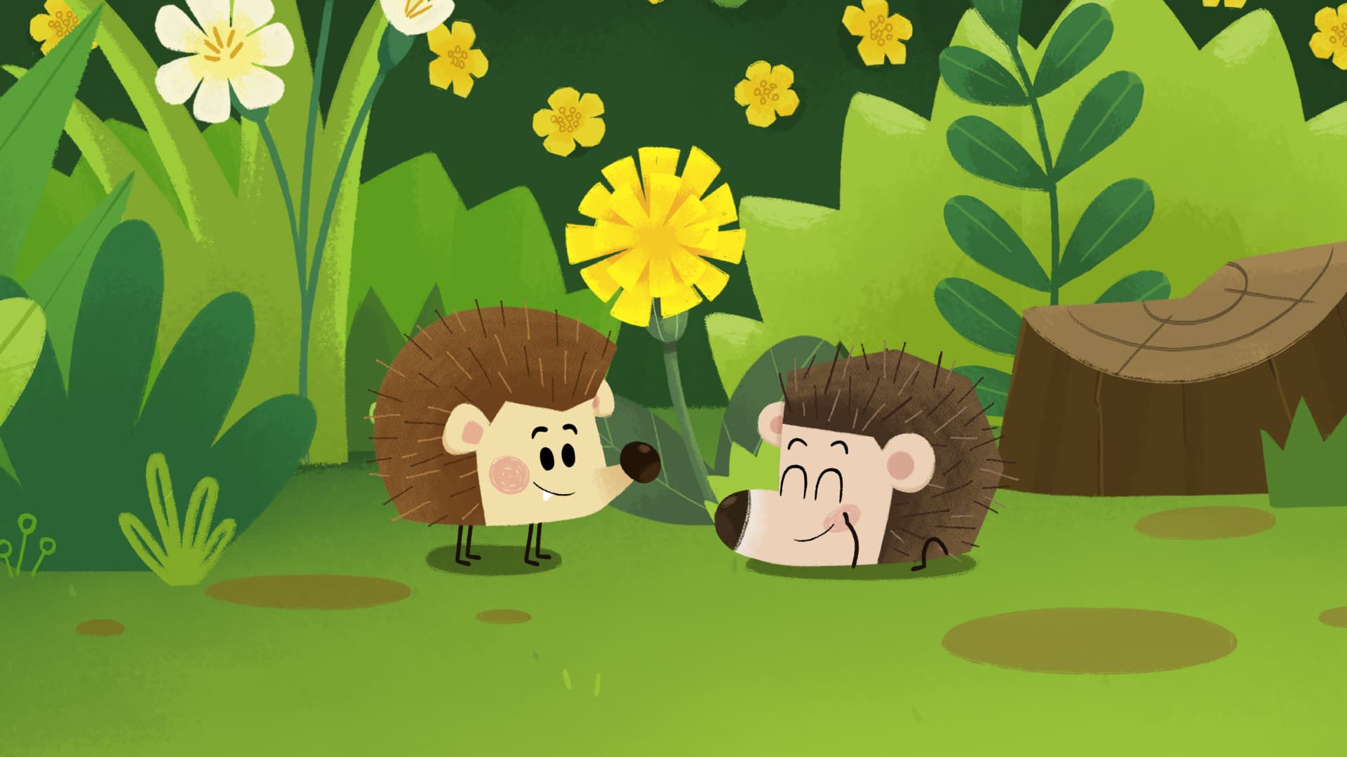 Hedgie Hide and Seek