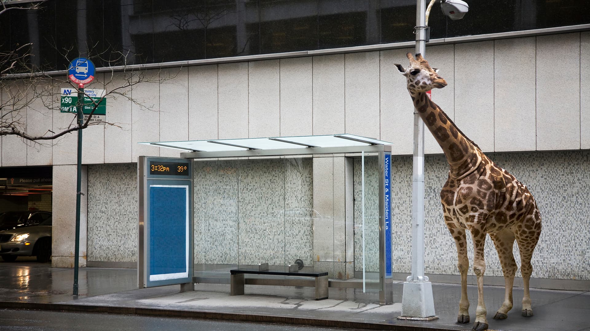 The Value of Inclusion