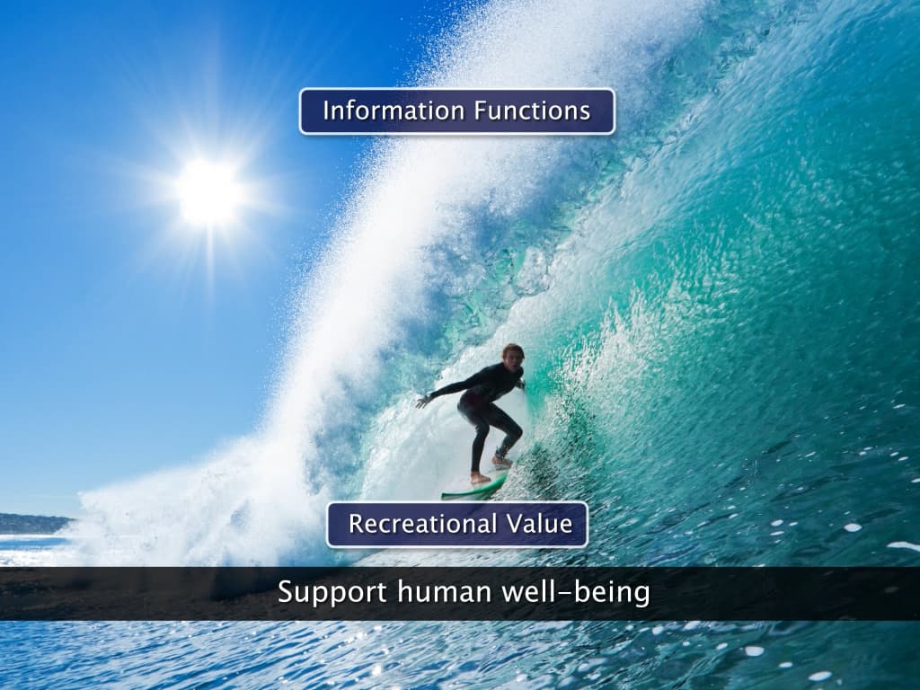 Ecosystem-Structure and Function