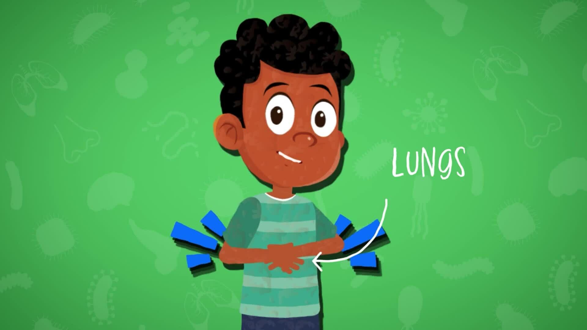 High Five Facts - Nose