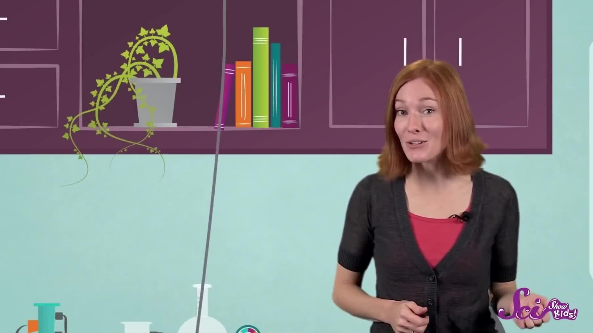 Can You Guess the Weather? | Weather Guessing Game | SciShow Kids Compilation