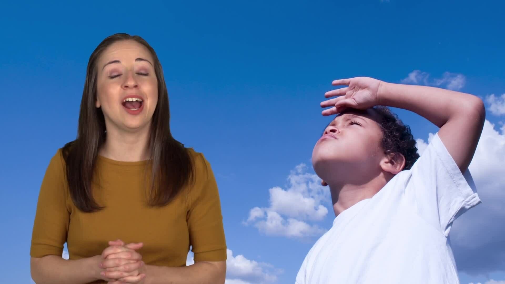 Understanding Vision: The Science Behind Our Eyes at the Beach