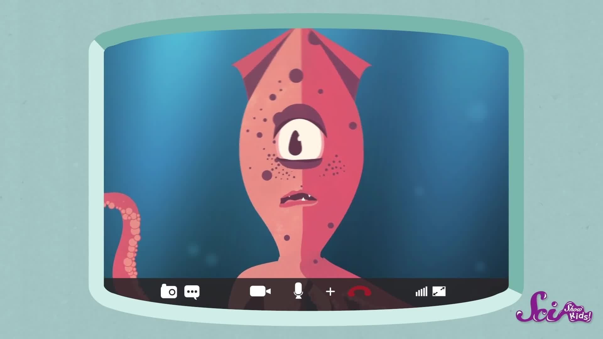 How People (And Squids) Measure Things