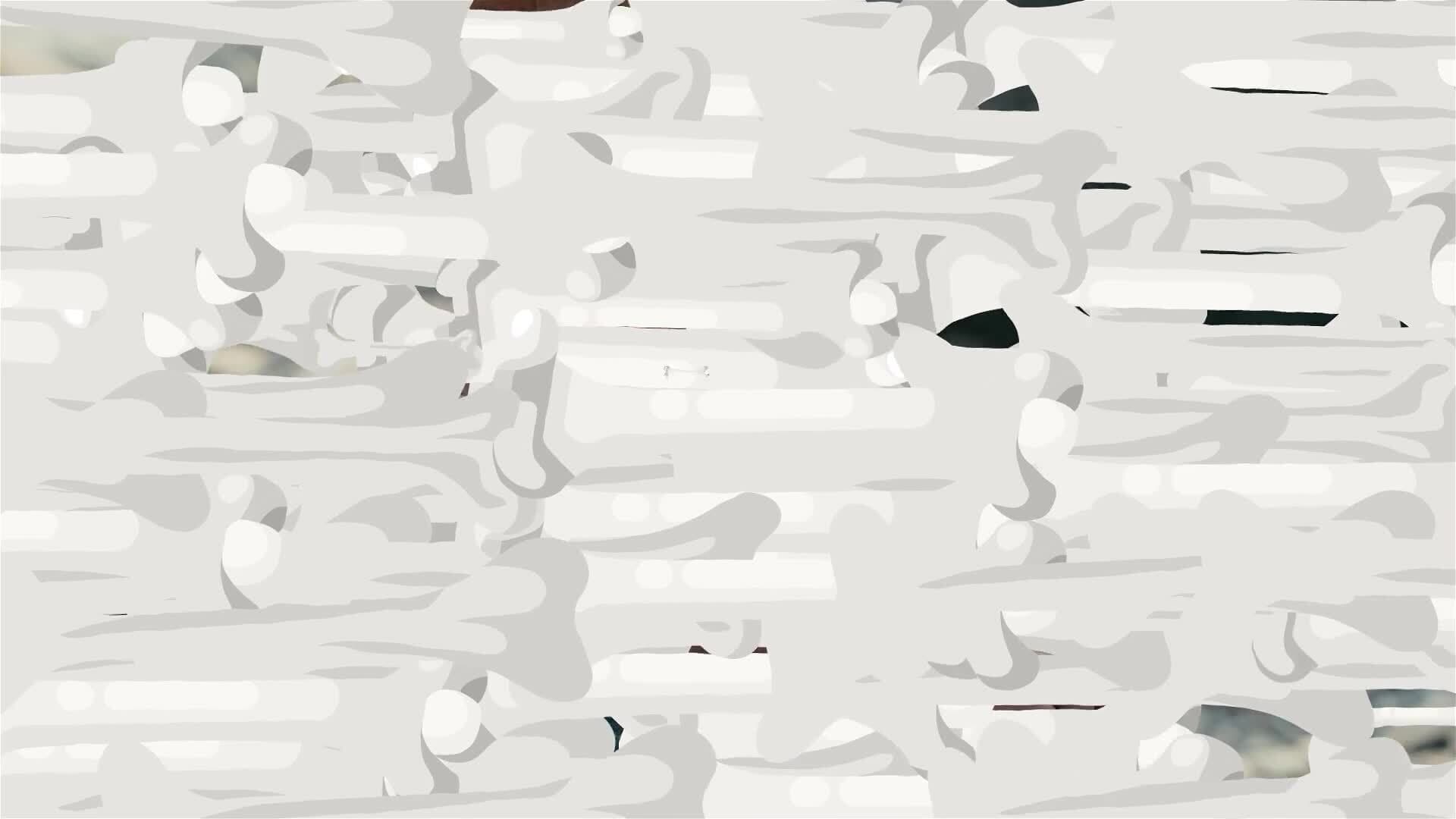 I WONDER - How Many Bones Are In The Foot?