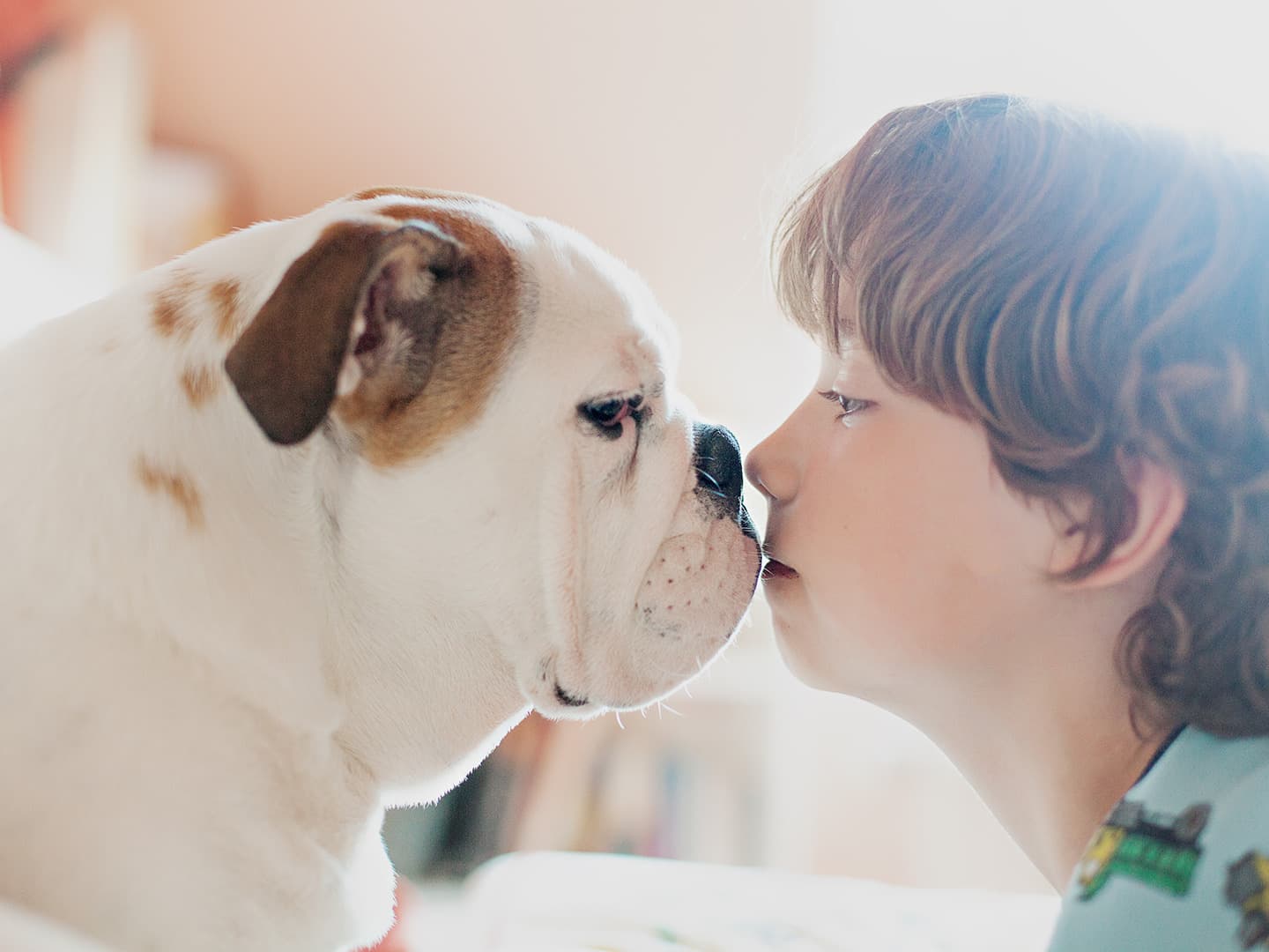 Respecting Others: The Story of Tetsuo the Turtle