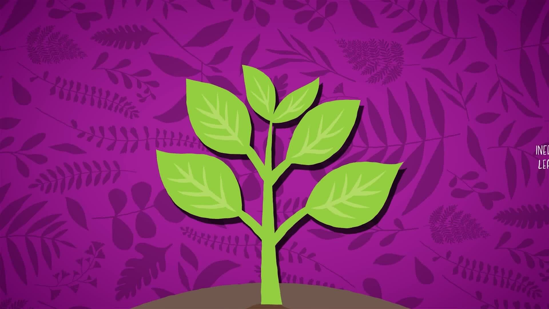 I WONDER - Are All Parts Of A Poisonous Plant Dangerous?