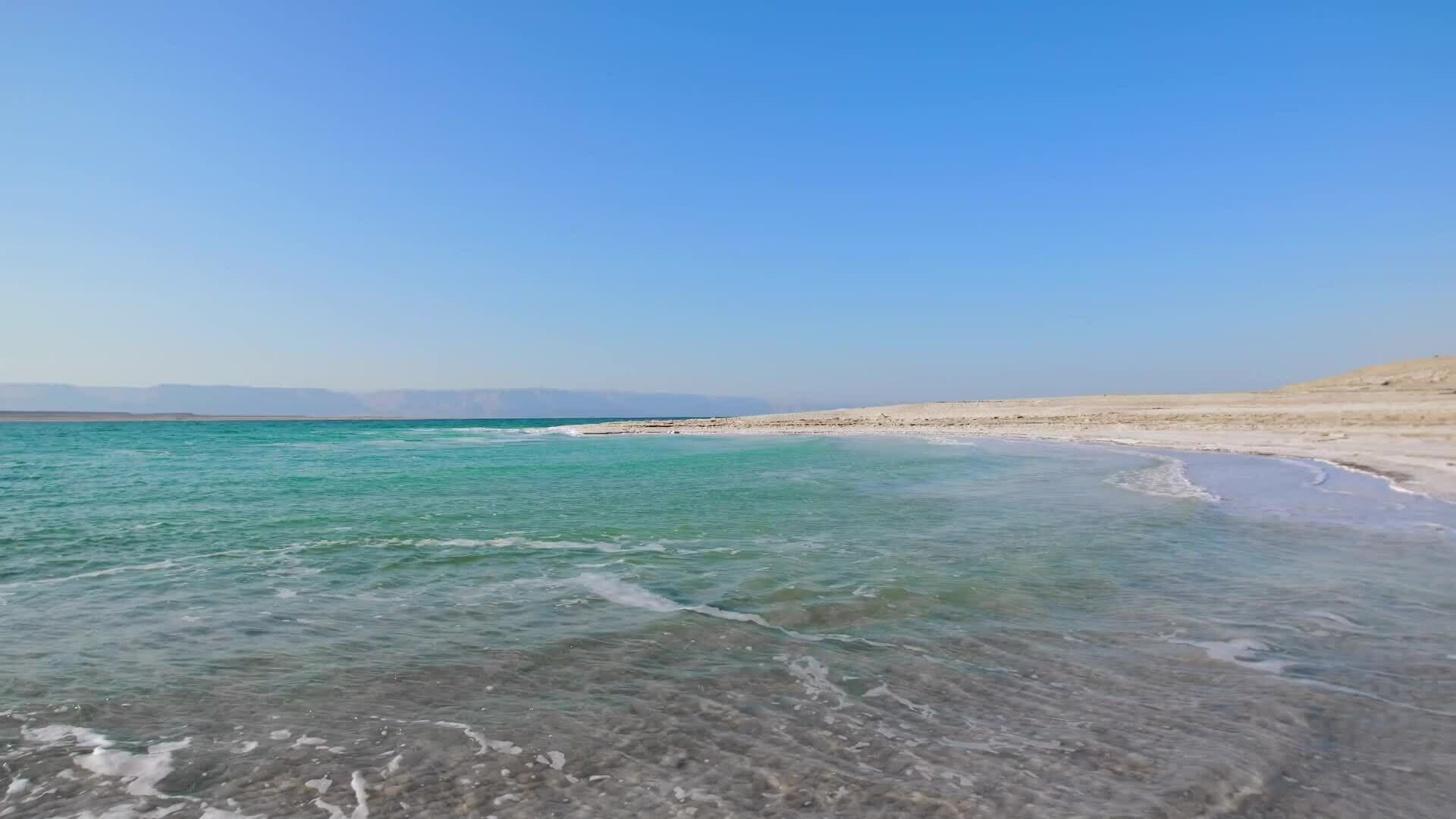 I WONDER - How Does Gravity Affect The Tides?