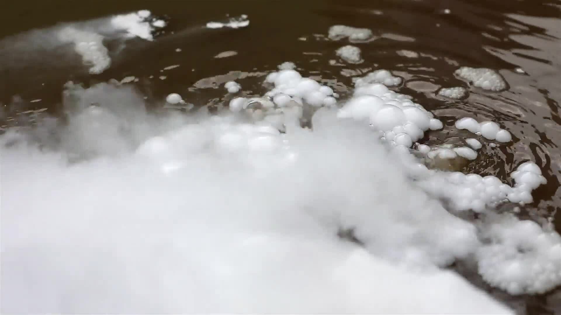 I WONDER - What Are The Stages In The Water Cycle?