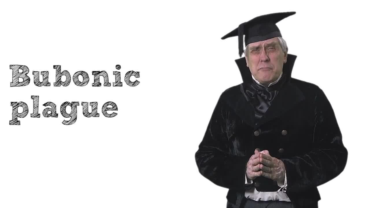 What Was the Black Death?