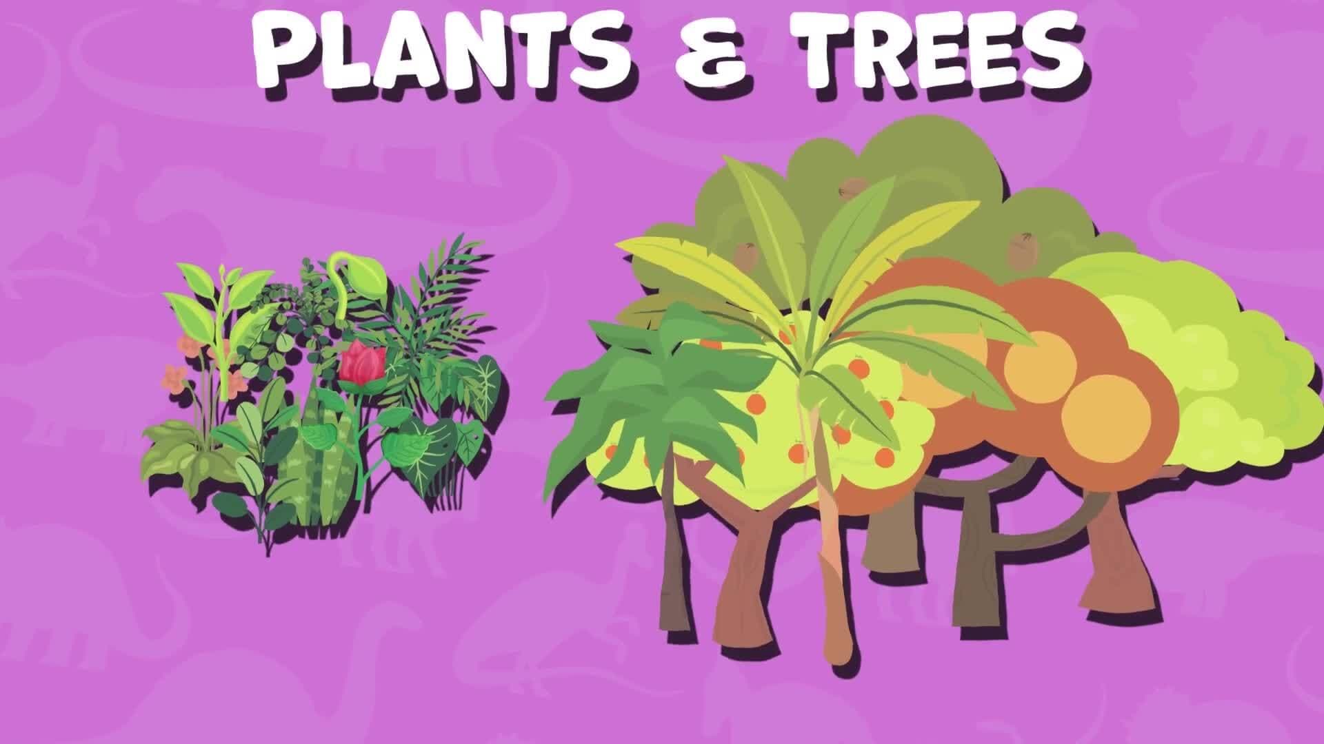 I WONDER - What Did The Brontosaurus Eat?