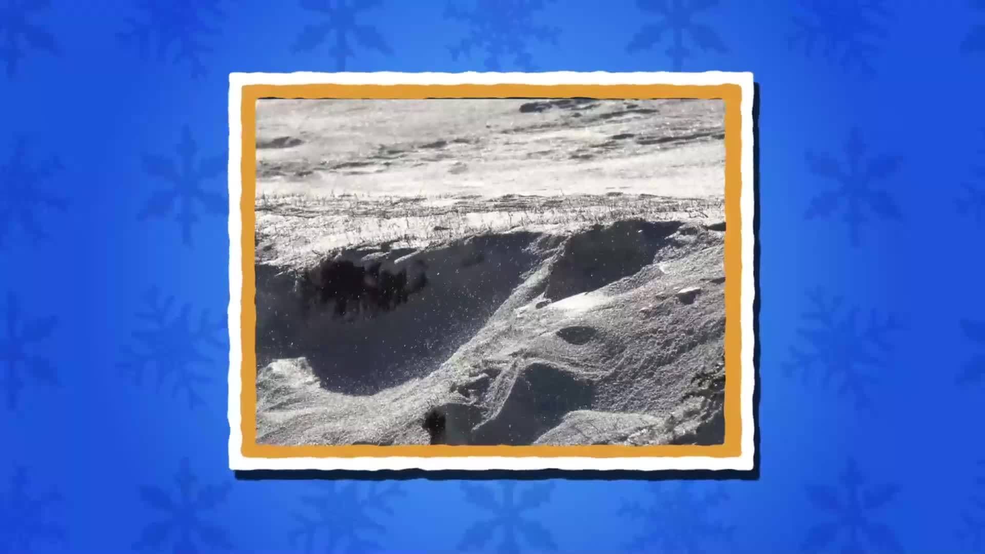 I WONDER - What Is A Ground Blizzard?