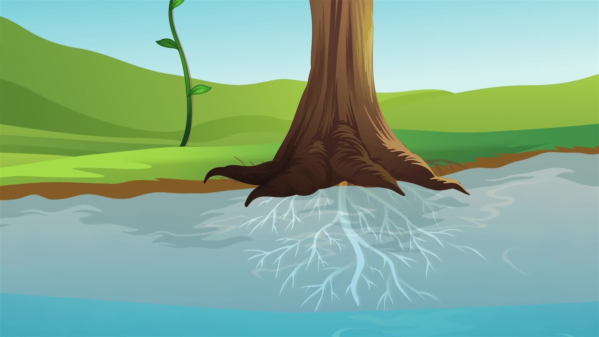 I WONDER - What Is Soil Erosion?