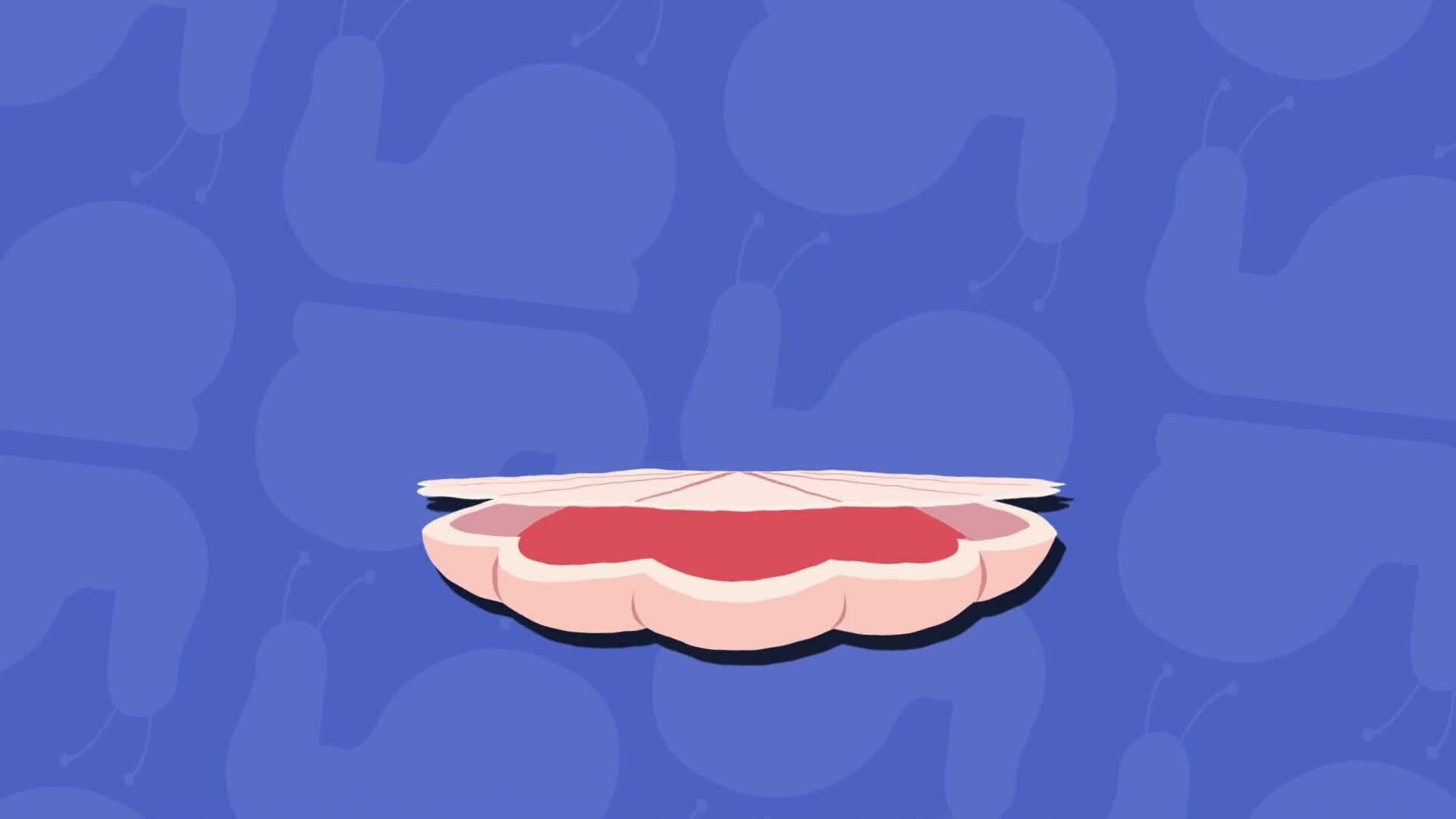 High Five Facts - Mollusks