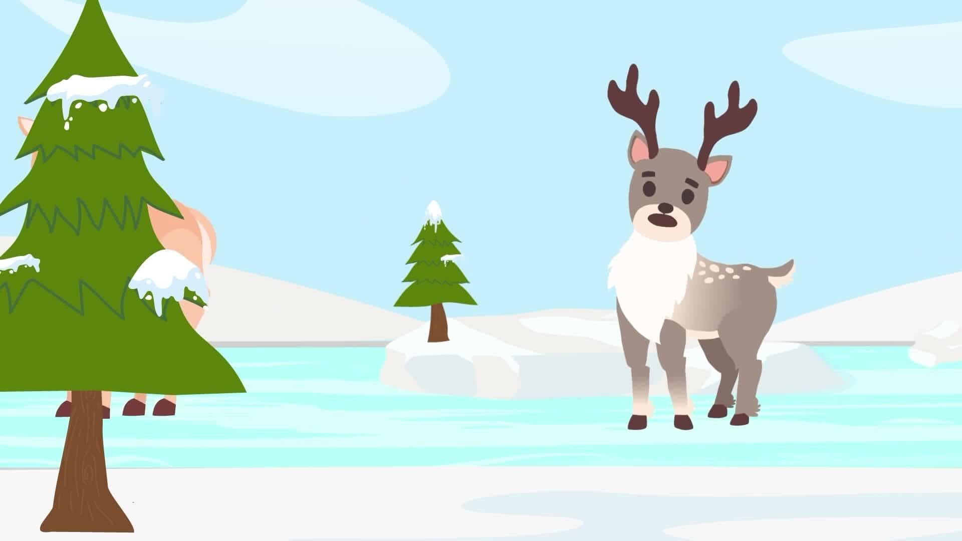 High Five Facts - Reindeer
