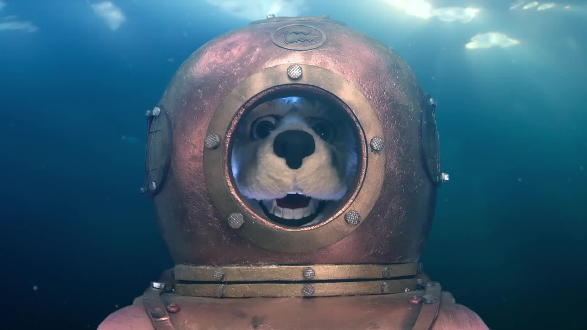 Animal Alphabet: F is for Frogfish