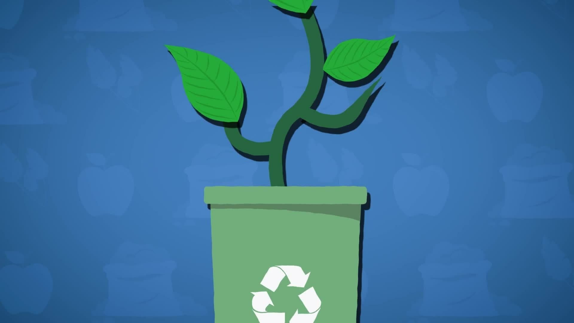 I WONDER - What Is Composting?