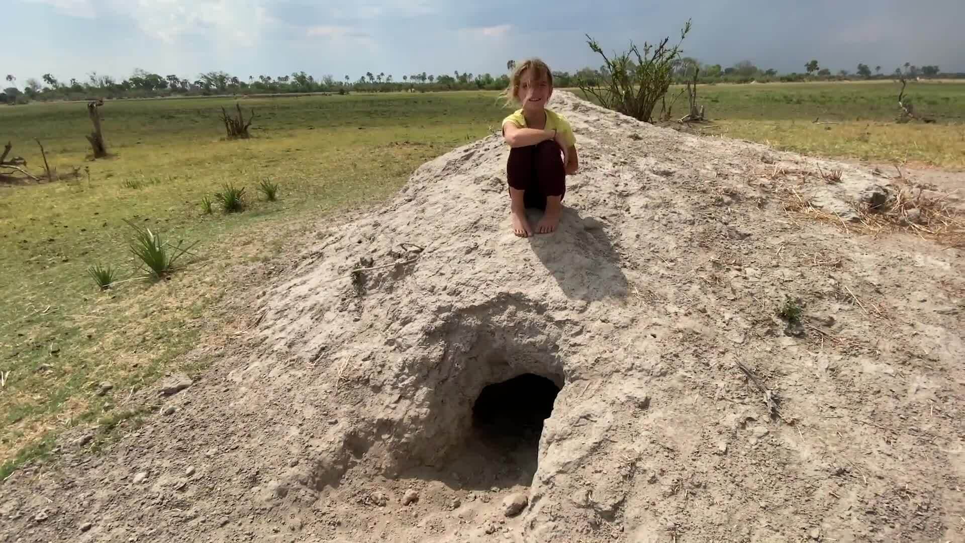 On Safari with Nala - Warthogs