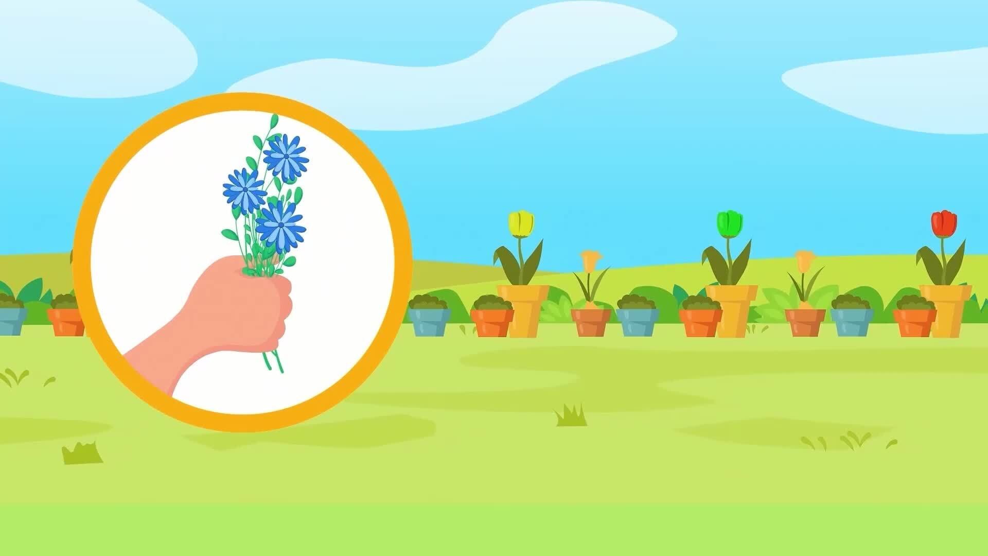 I WONDER - How Big Can Flowers Get?