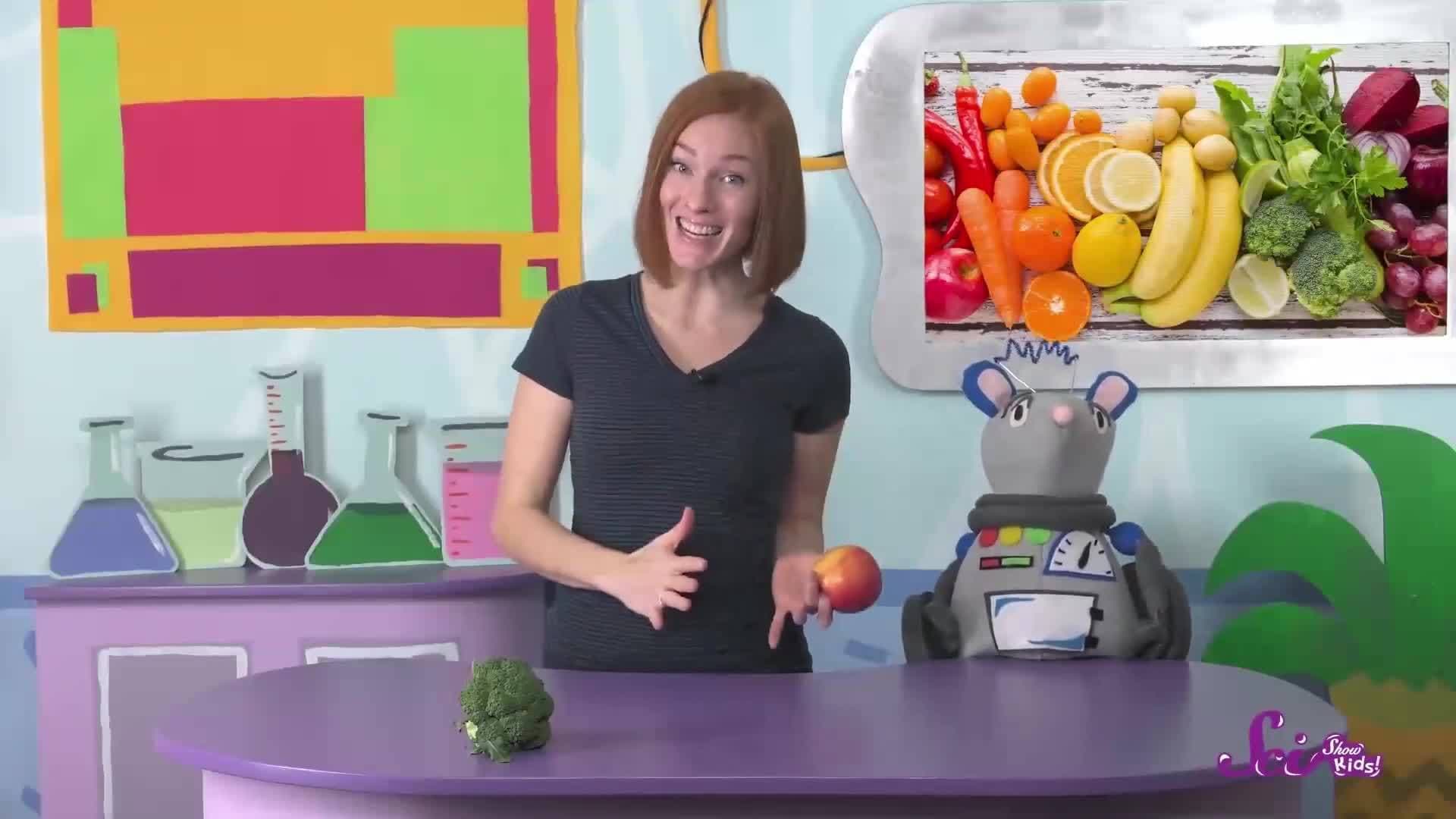 All About Your Body! | Human Body Compilation