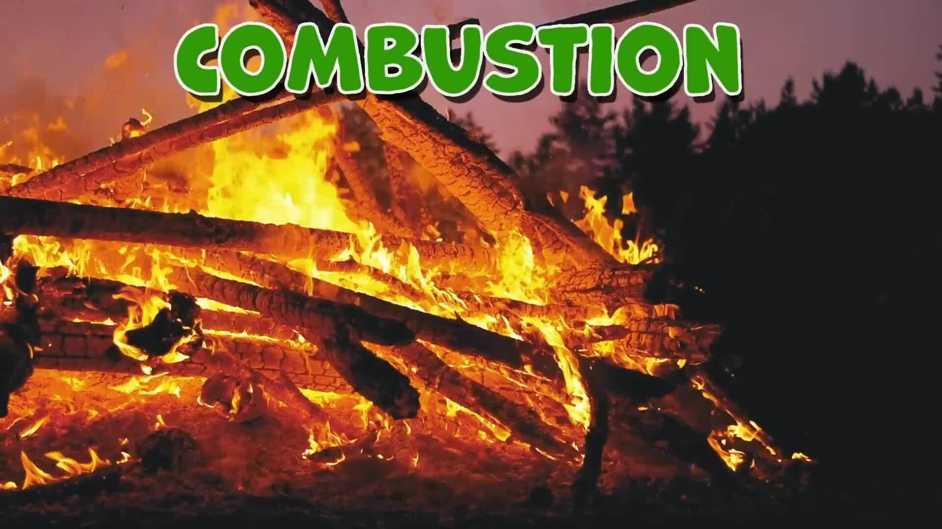 I WONDER - Where Does Carbon Come From?