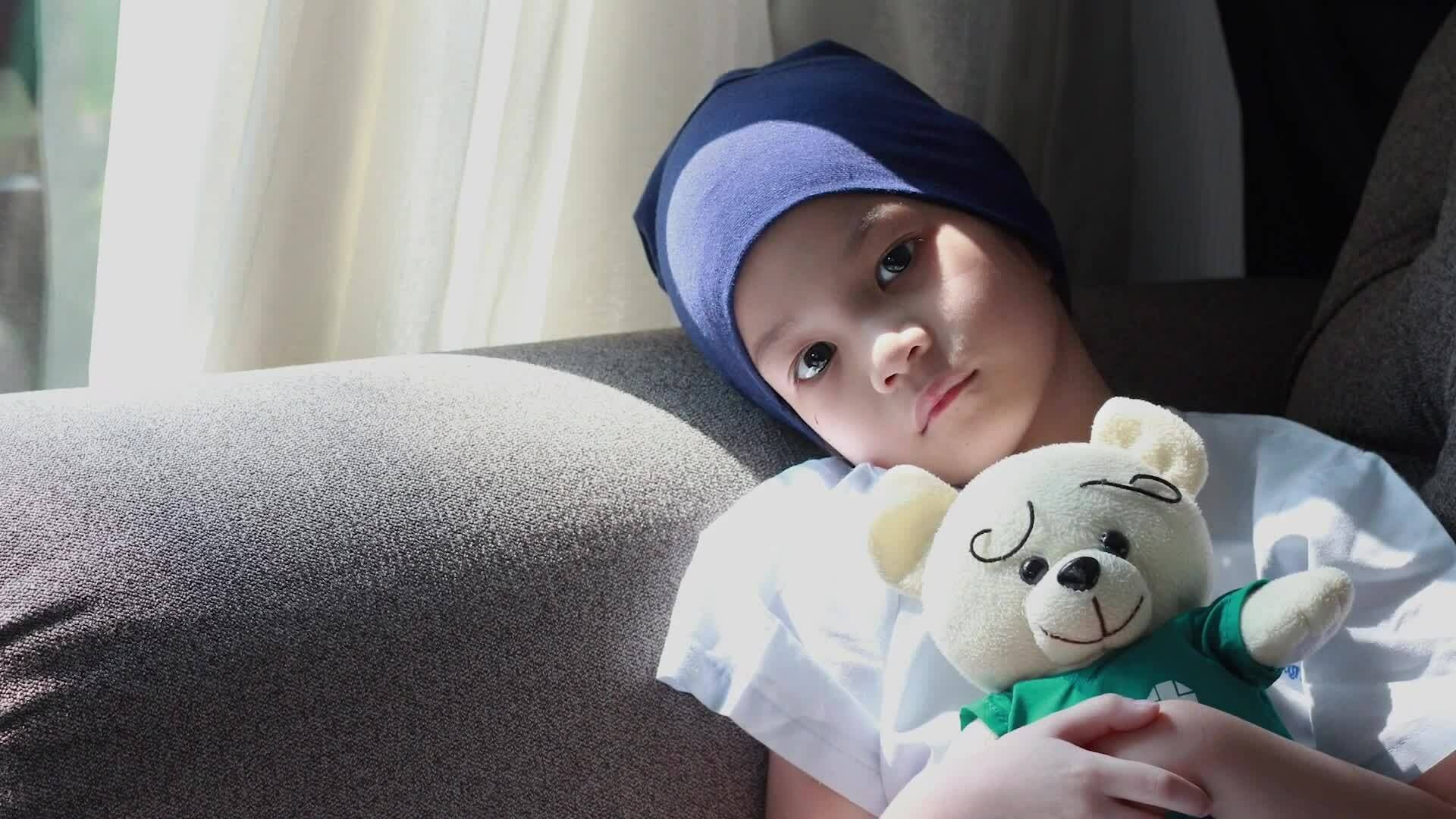 Medicinal Wonders of the Tropical Rainforest