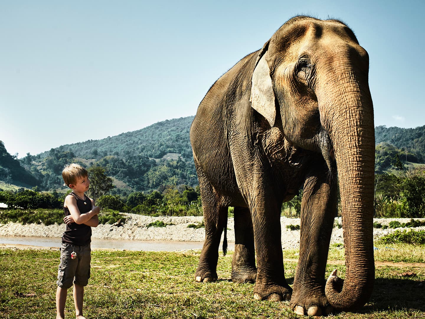 The Gimme Awards: A Night of Surprises and Celebrations in the Animal World