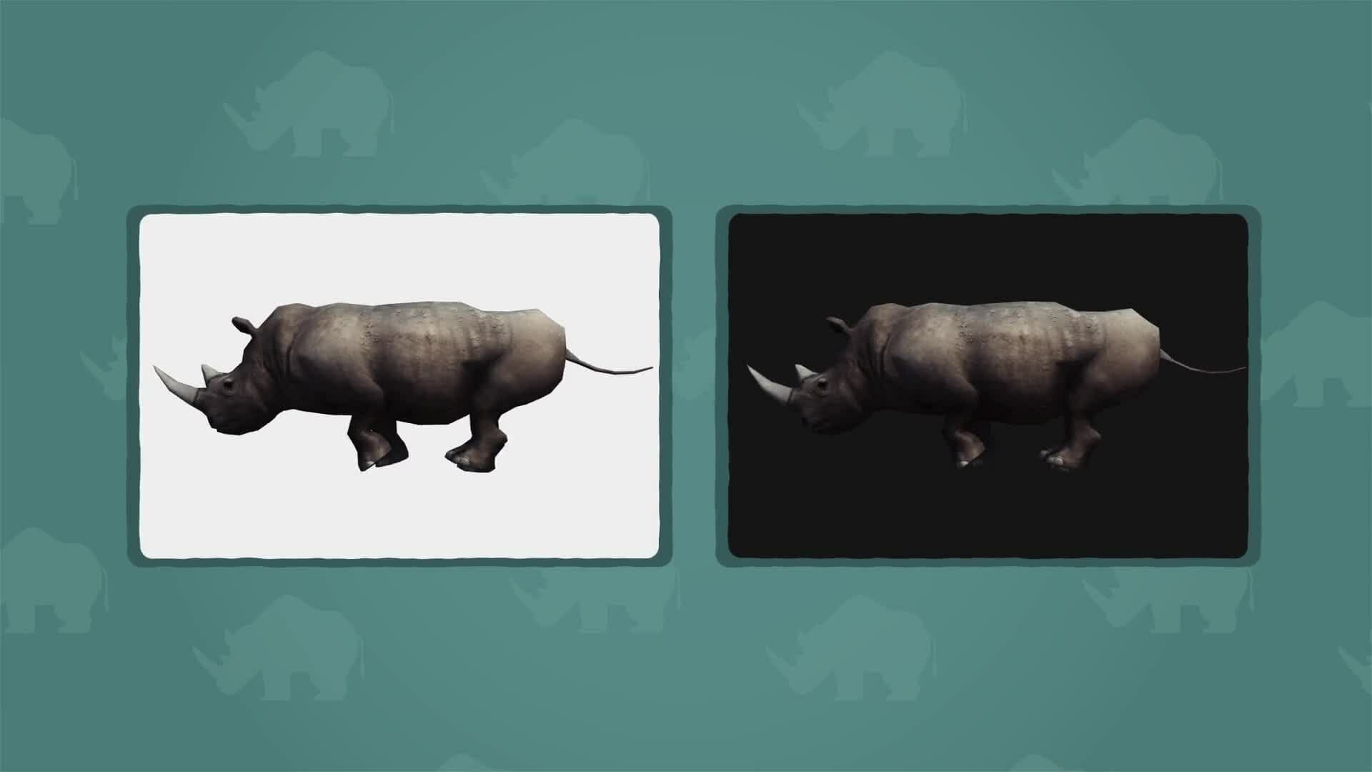 I WONDER - What Is The Difference Between Black And White Rhino?
