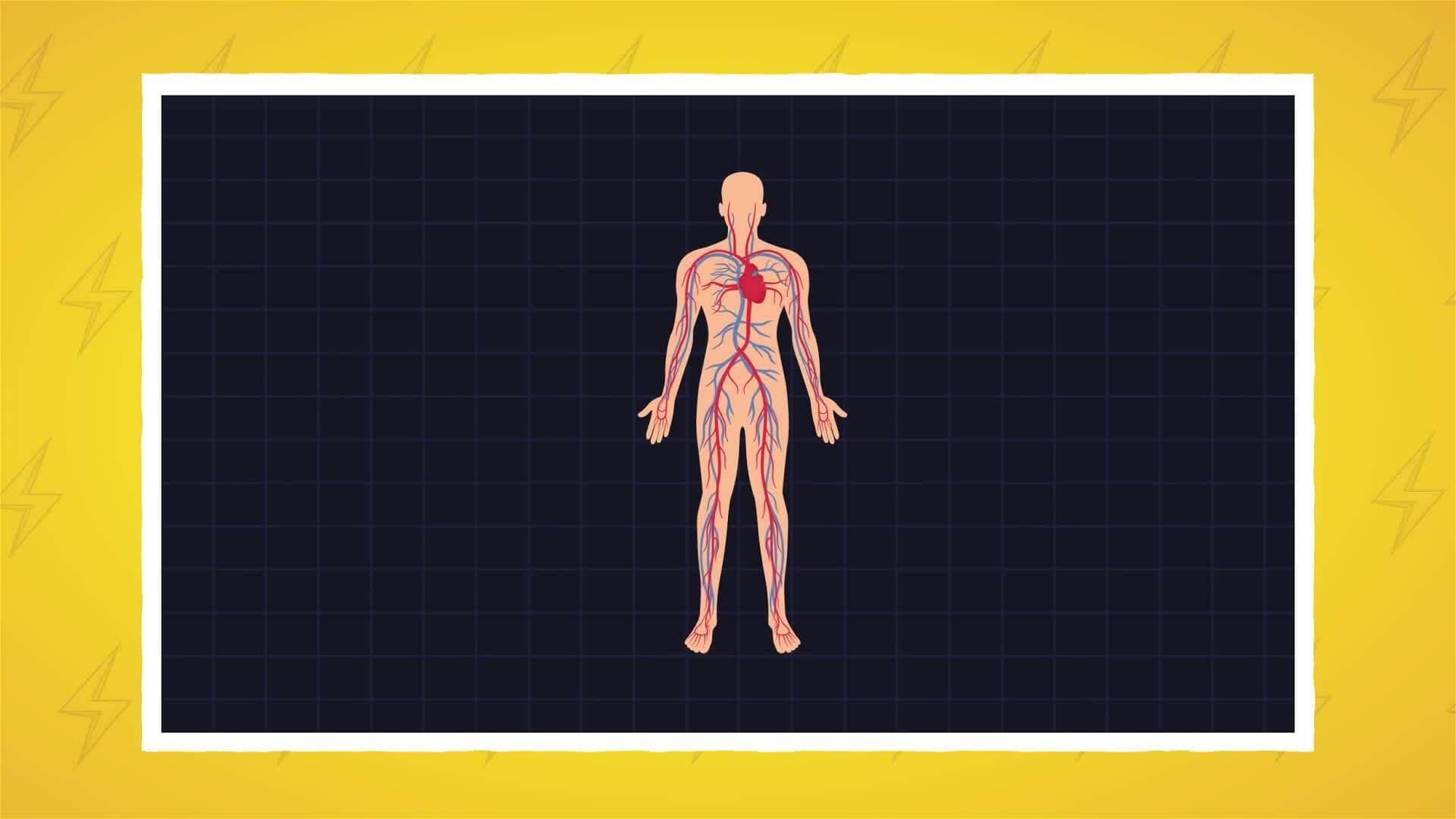 I WONDER - Do We Have Electricity In Our Bodies?