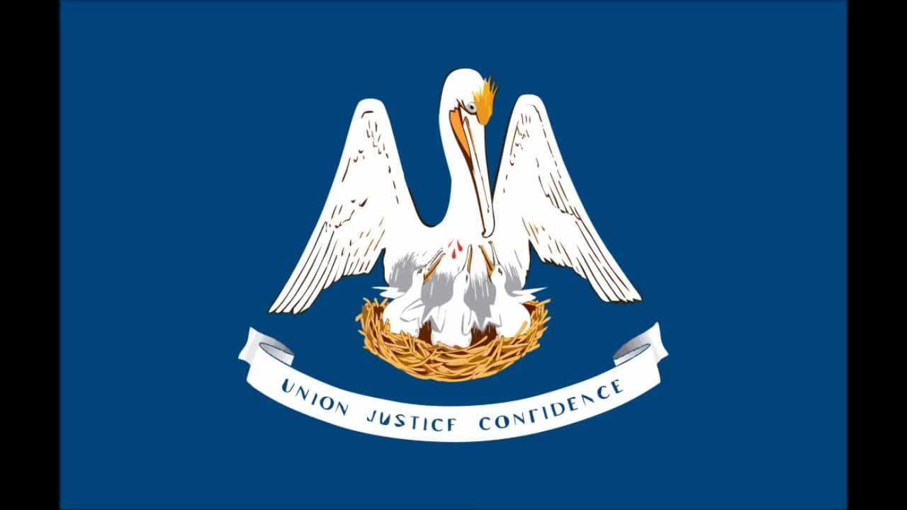 50 States Song with pictures of all 50 State Flags | Kids Learning Videos