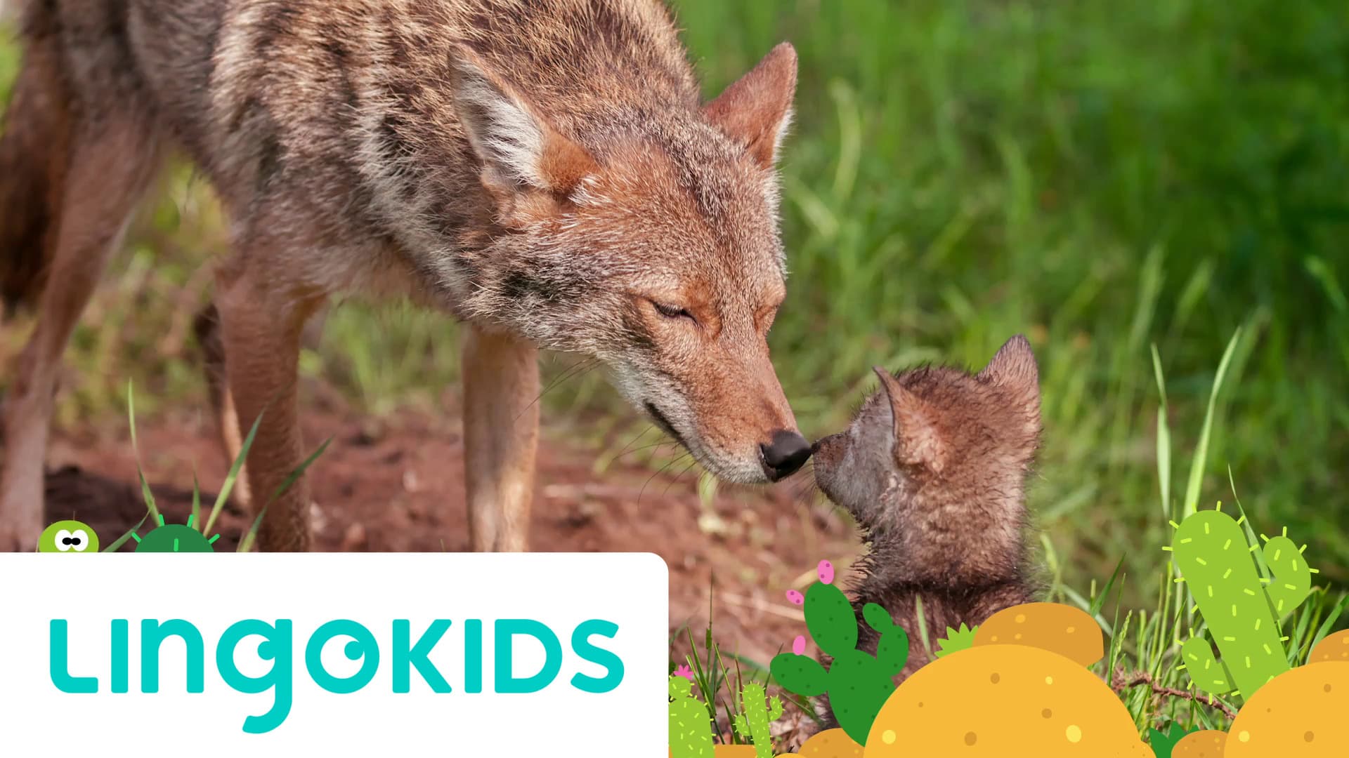 Animals in the World