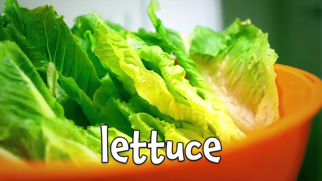 Things that are Green | Learning Colors for Kids