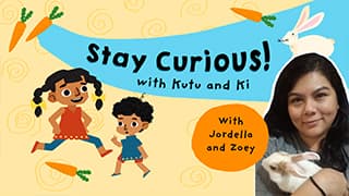 Jungle Journey - Stay Curious Jordella